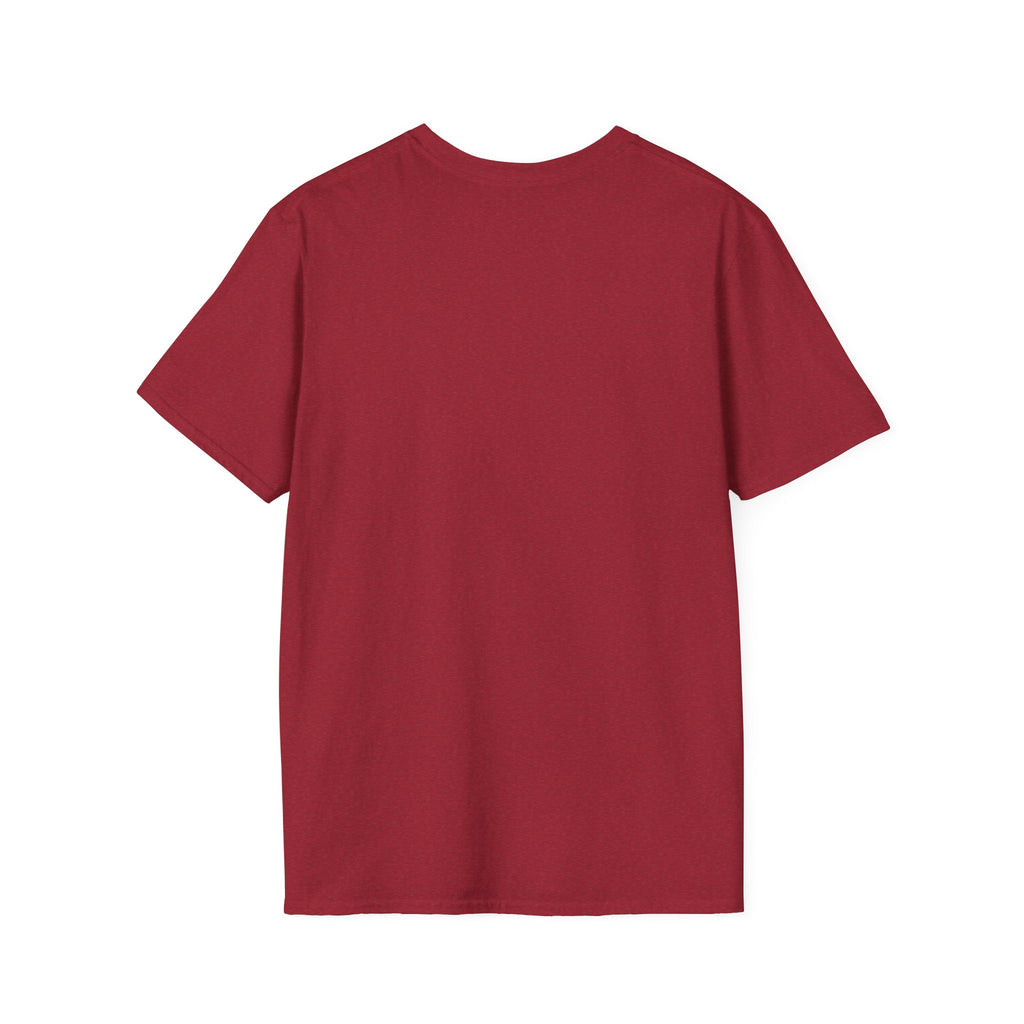 “Dungeons & Cats” Tee — Twelve Classes, Infinite Chaos