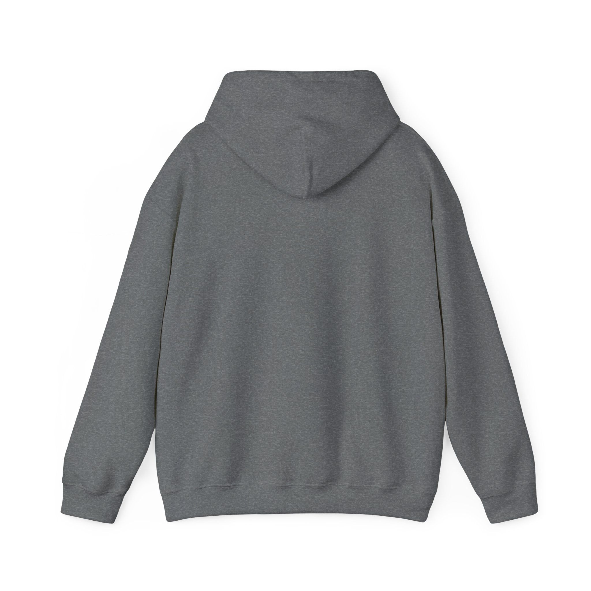 Dad Evolution Hoodie— "I went from dada to daddy to dad to bruh"