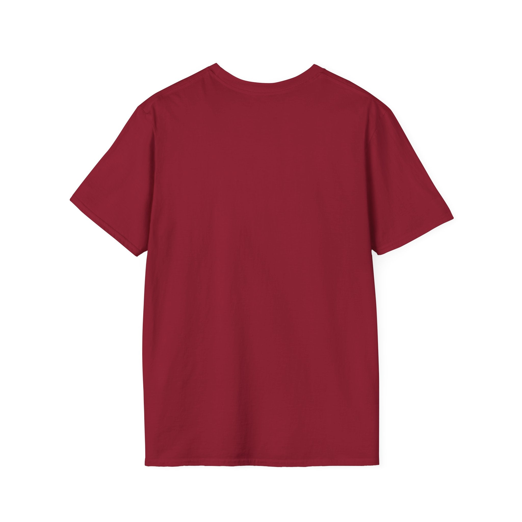 “Dungeons & Cats” Tee — Twelve Classes, Infinite Chaos